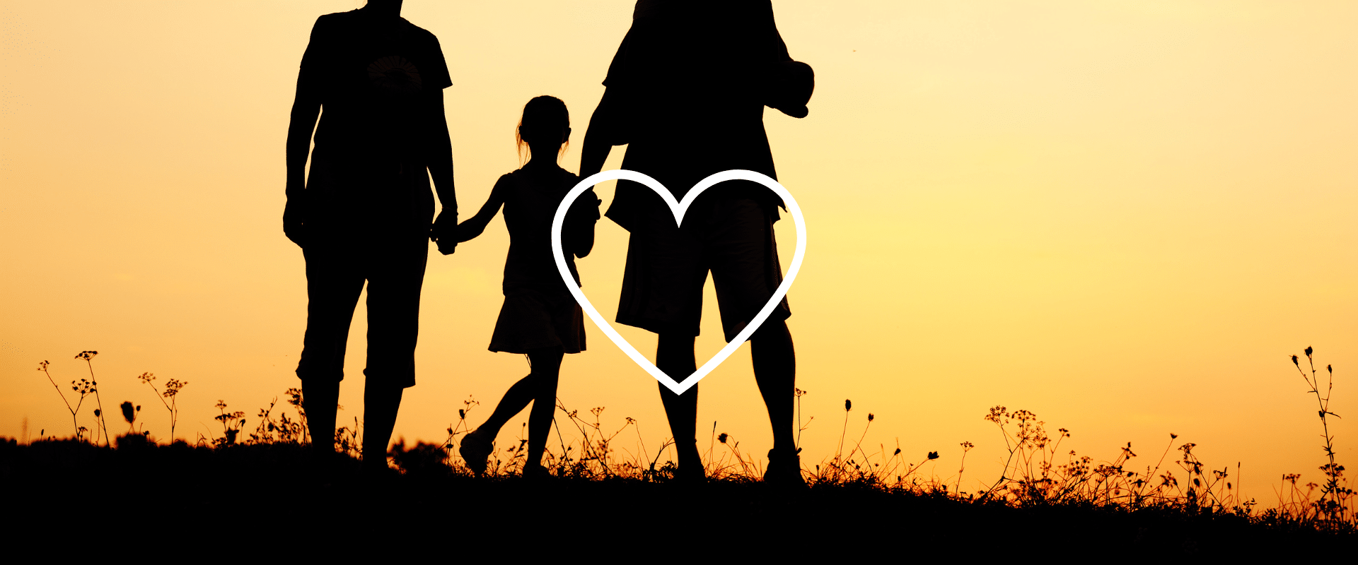 Familiesystemen zijn de complexe structuren binnen een familie, die bepalen hoe de interacties en relaties plaatsvinden.